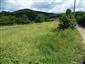 jašterica bystrá (8.6.2013)